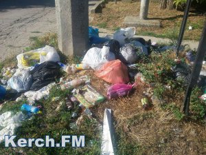 Новости » Общество: Туристы в Крыму продолжают жаловаться на мусор