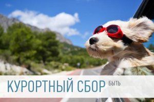 Новости » Общество: Курортный сбор в Крыму не должен стать обременением для туристов, - ростуризм
