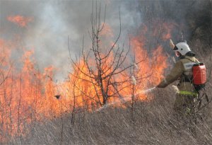 Вчера спасатели тушили возгорание травы  в Щелкино