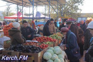 Новости » Общество: В Керчи прошла сельскохозяйственная ярмарка