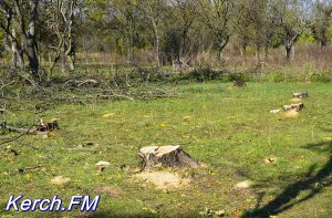 Новости » Общество: Керчане боятся, что скоро от Приморского парка ничего не останется