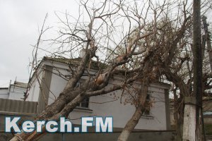 В Крыму на два дня прогнозируют штормовой ветер