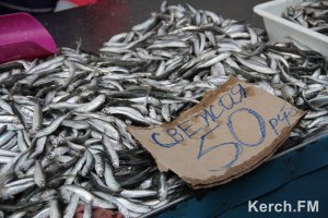 Новости » Общество: Из Крыма в Украину экспортировали почти 3 тыс тонн свежемороженой рыбы