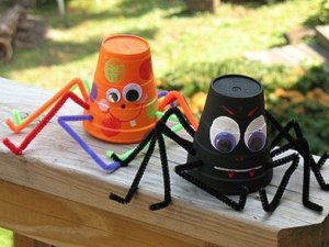 Новости » Общество: В Крым пытались провезти 72 паука в пластиковых стаканах