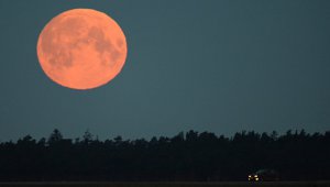 Новости » Общество: Крымчане завтра смогут увидеть самую большую за 70 лет Луну