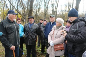 Новости » Общество: В Керчи  из-за митинга приостановили вырубку деревьев в Комсомольском парке