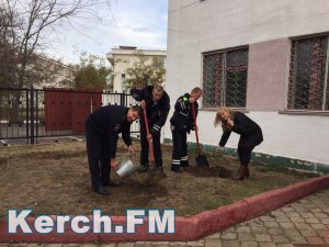 Новости » Общество: В Ленинском районе сотрудники полиции высадили розы