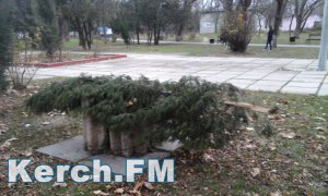 Новости » Общество: В Керчи в парке вандалы поломали скамейки и деревья