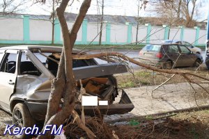 Новости » Криминал и ЧП: В Керчи на Кирова автомобиль «влетел» в дерево