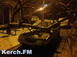 В Керчи ночью на автомобиль  упало дерево