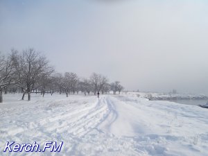 Ты репортер: Керчанка  поздравила читателей  с Новым годом