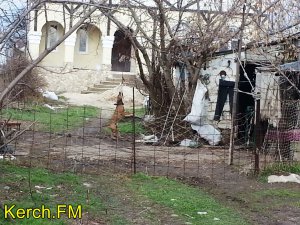 Ты репортер: Керчане поделились смешным видео с собакой