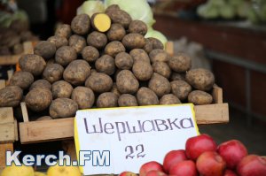 Новости » Общество: Обзор средних цен в Керчи