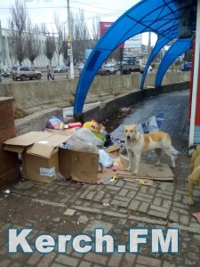 Новости » Общество: В Керчи при входе на центральный рынок лежат кучи мусора