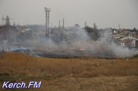 Керчан просят убирать сухую траву вблизи жилых строений во избежание пожаров