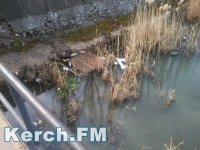 Новости » Общество: Керчане жалуются на грязь и мусор в речке «Мелек-Чесме»