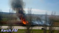 Новости » Криминал и ЧП: В районе Буденного в Керчи опять горят камыши