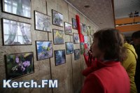 В Керчи открылась фотовыставка «Красная книга Крыма в фотообъективе»