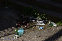 Новости » Коммуналка: Константиновская лестница в Керчи утопает в мусоре