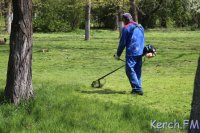 В Керчи в Комсомольском парке косят траву