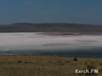 Новости » Общество: В Крыму хотят производить косметику из лечебной сопочной грязи Ленинского района