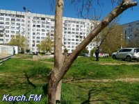 Новости » Общество: Полиция не пускает жителей Керчи в свои дома
