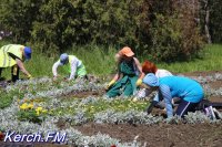 Новости » Общество: На набережной в Керчи высаживают цветы