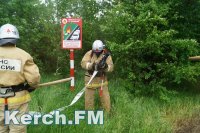 Новости » Общество: В Крыму лесные пожары планируют отслеживать с помощью спутников