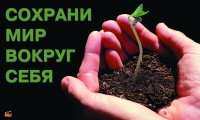 В Крыму хотят привлечь школьников к возрождению лесополос