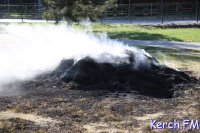 В Керчи коммунальщики возле детской площадки устроили костёр (видео)