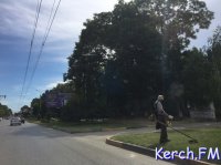 Новости » Общество: В Керчи на улице Свердлова косили траву