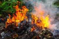 В Керчи за сжигание мусора будут штрафовать на 3 тыс рублей