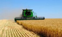 В Крыму аграрии приступили к уборке ранних зерновых
