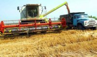 Крымские аграрии собрали 1,5 млн тонн зерна