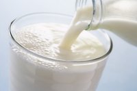 Новости » Общество: В Крыму производители молока снижают объемы переработки из-за проблем с реализацией