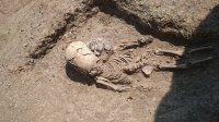 Новости » Культура: На Керченском полуострове археологи нашли античное погребение «инопланетянина»