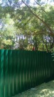 Новости » Общество: В Керчи в Комсомольском парке начали пилить деревья