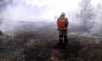 Новости » Общество: В Ленинском районе за выходные два раза горела трава