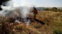 Новости » Спорт: В Крыму за месяц произошло более 400 возгораний