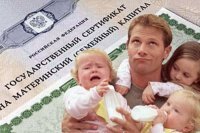 ГД приняла в первом чтении проект о маткапитале для отцов-одиночек в Крыму
