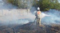 Новости » Общество: В Багерово МЧС тушили возгорание травы