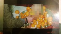 В Краснодаре задержали семью каннибалов (18+)
