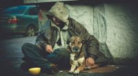 Новости » Общество: В Минтруда Крыма обсудили возможные пути решения проблемы бездомных на полуострове
