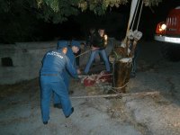 Крымские спасатели вытащили из канализации лошадь
