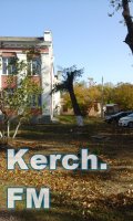 Новости » Общество: Керчане возмущены уничтожением деревьев в Аршинцево