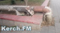 Новости » Общество: Керчане два года не могут добиться утепления теплотрассы в их дворе