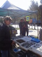 Новости » Общество: В Керчи у стихийщиков забрали 8 кг рыбы