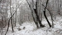 Новости » Общество: В Крыму в ближайшие часы обещают сильный снег
