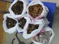 В Крым пытались незаконно ввезти сухофрукты, саженцы и сушёные грибы