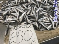 Новости » Общество: Крымские рыбаки выловили 18 тысяч тонн хамсы